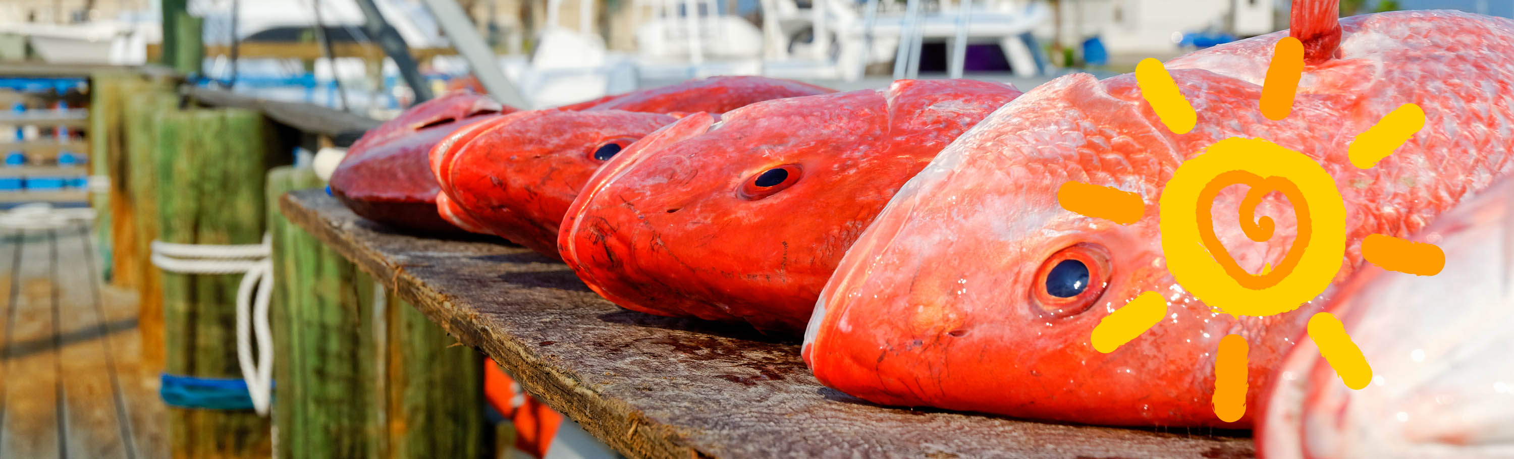 Fresh Red Snapper in Port Aransas